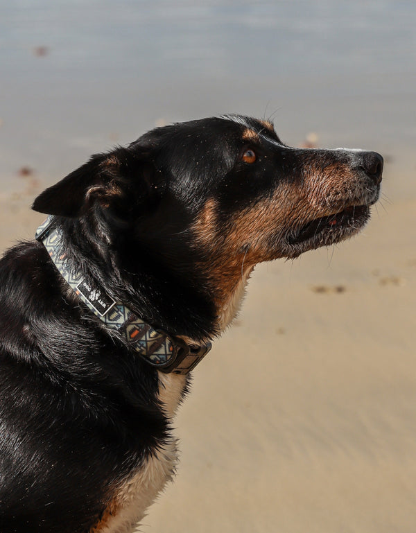 Waterproof Dog Collar - Otway