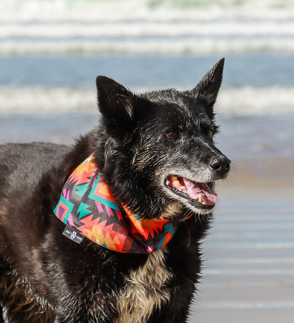 Dog Bandana/ Nomad