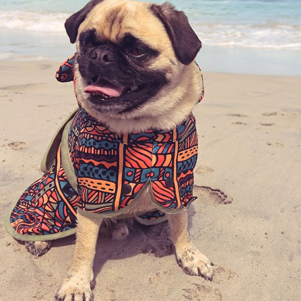 Dog Hooded Towel - Forrest