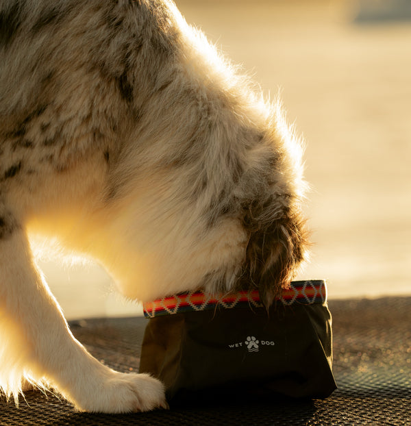 Packable dog bowl, travel dog bowl, lightweight dog bowl. Recycled. Designed in Australia. Perfect for traveling and hiking with dogs
