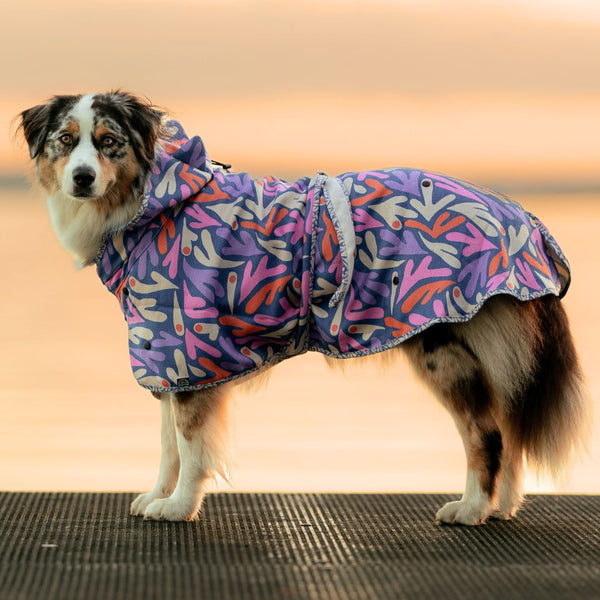 Dog Hooded Towel - SEAGAL