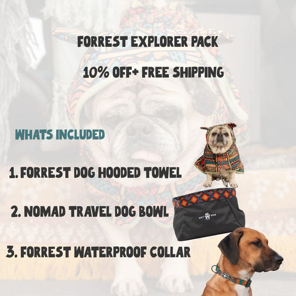 Forrest Explorer Pack