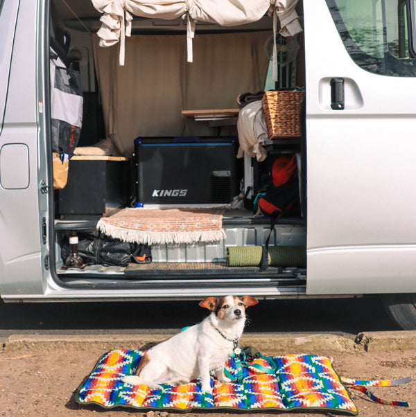 Travel Dog mat! Recycled, Lightweight, water resistant.