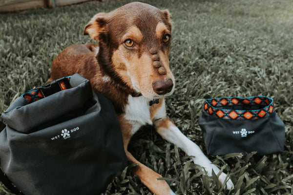 Dog travel Bag and ultralight packable dog bowl.. Dog Food Bag. Dog bag. Travel Essentials for dogs. Sustainable for dogs