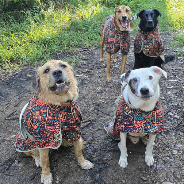 Hooded towels for dogs, robe for dog, dry your dog, muddy dogs.