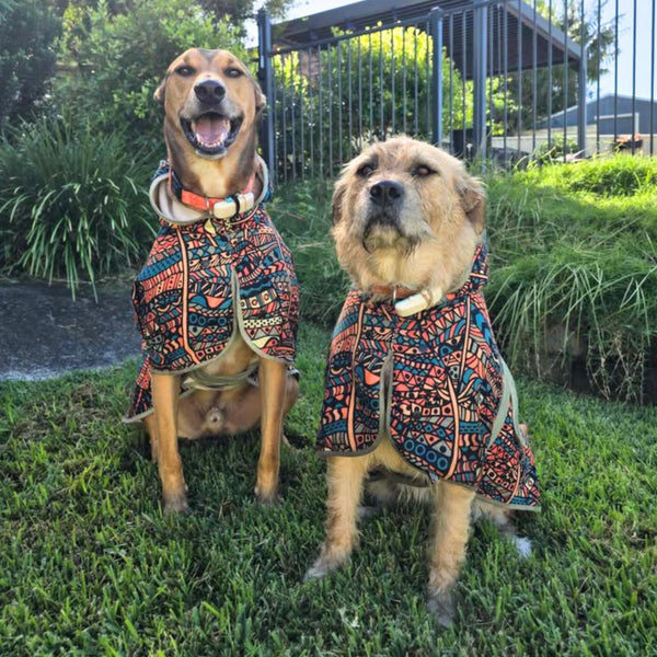 Dog Hooded Towel - Forrest