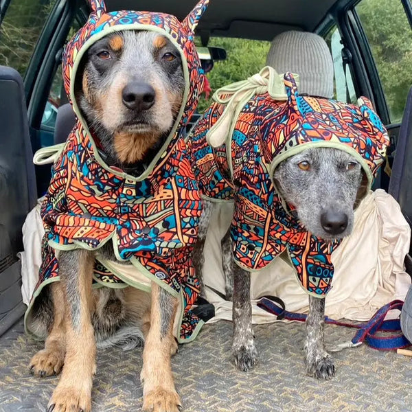 Dog Hooded Towel - Forrest