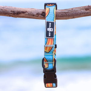 Waterproof and durable dog collar. Stainless steel D ring, recycled webbing. Designed in Australia . Wet Dog and Co.