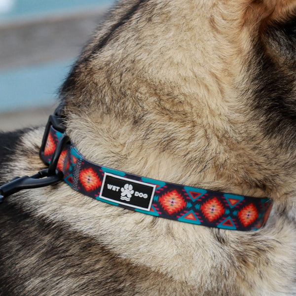 Waterproof Dog Collar - Nomad