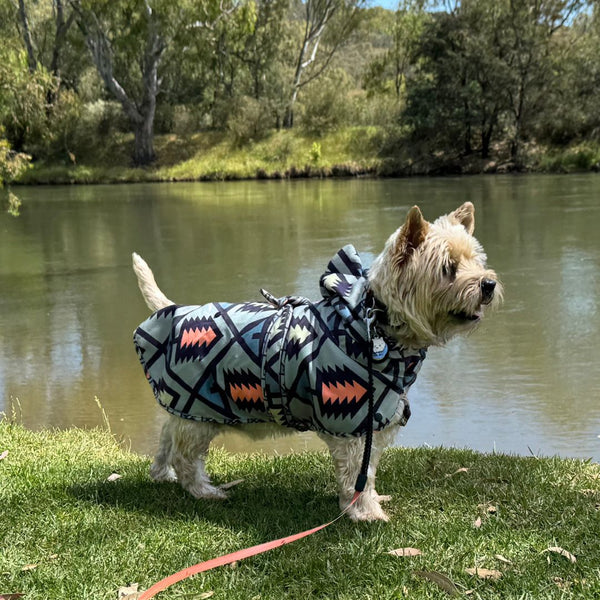 Hooded towel for dogs - bathrobe for dogs.