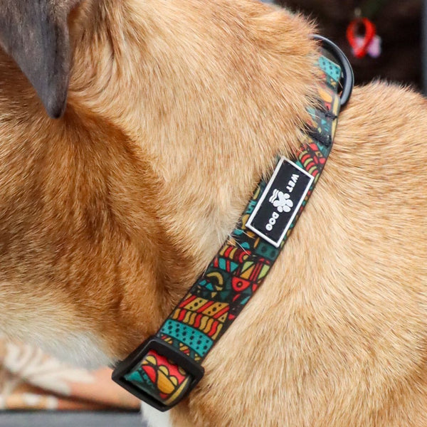 Waterproof Dog Collar - Forrest