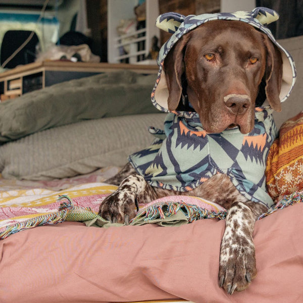 Dog hooded towel, bathrobe for dogs, calming jacket for dogs. recycled, eco friendly products for dogs. Made from recycled plastic bottles. Lightweight towel for dogs.