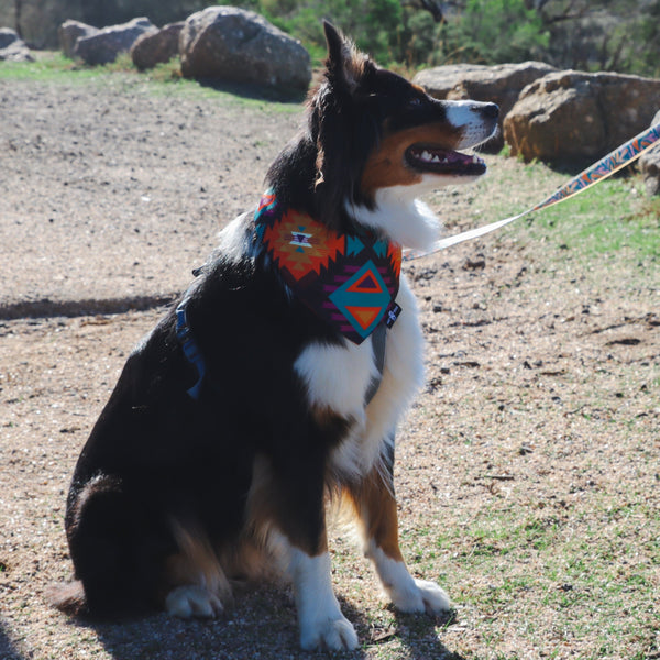 Waterproof dog bandana - made from recycled plastic bottles/