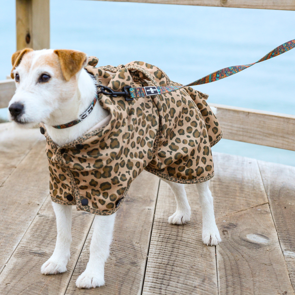 The Wet Dog and Co bathrobe is made of 100% recycled plastic material that dries quickly, so you save your time and our planet! Dry your dog with style and match with your dog! Easy to put on after a swim, bath or the rain.