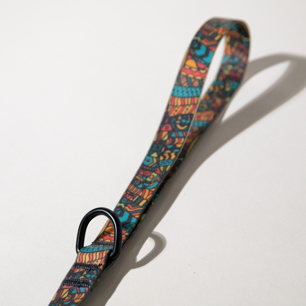 Waterproof, sand proof dog lead. Stainless Steel D Ring. Recycled webbing. Eco friendly coating. Designed in Australia. Designer lead. Double clip Lead.