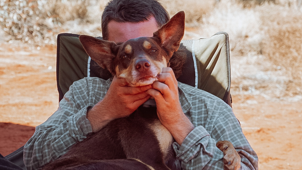 Dusty's Adventures: A Kelpie's Journey through NSW with Hayley and Liam