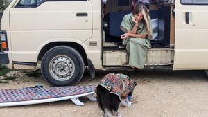Travel by van with dog