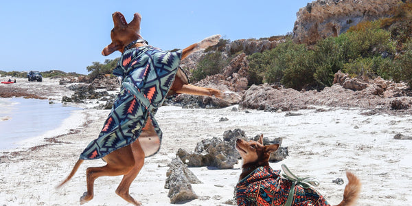 Life on the Road with Project Nowhere – Why Our Gear is Perfect for Bus Life Adventures
