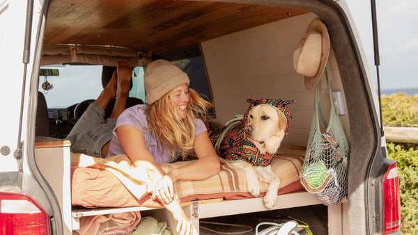 Van life with dog.