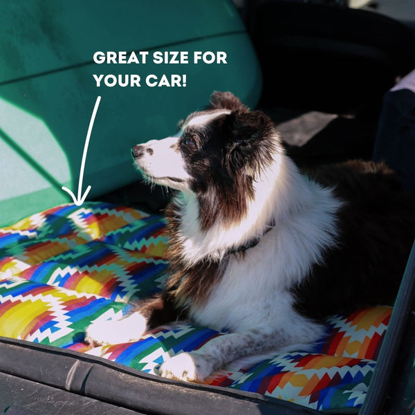 Wet Dog and Co Travel Dog Mat in Wanderlust print lining a car boot — water-resistant protection from wet dogs, made from recycled plastic bottles