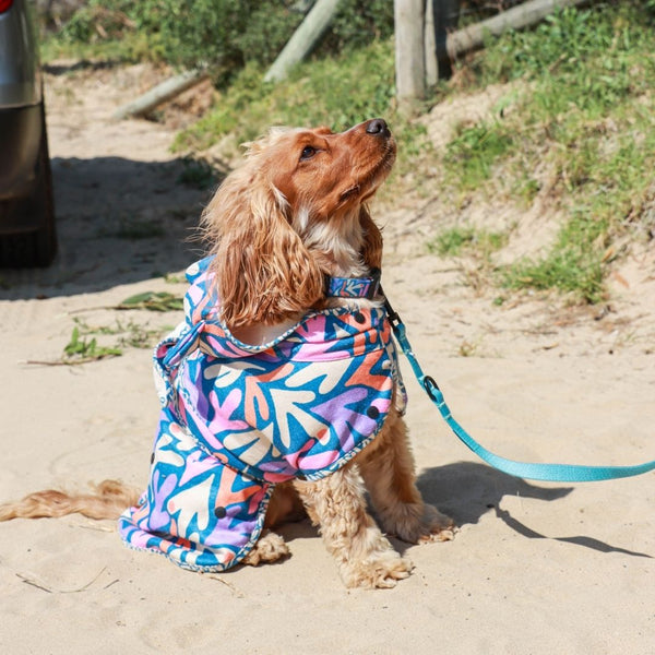 Bathrobe for dogs. Quick Dry Towel for dogs. Hooded towel for dogs, Hoodie for dogs