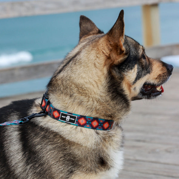 Waterproof Dog  Collar -Nomad - Coming soon
