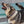 Waterproof Dog  Collar -Nomad - Coming soon