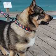 Waterproof Dog  Collar -Nomad - Coming soon