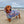 Dog hooded towel, bathrobe for dogs, calming jacket for dogs. recycled, eco friendly products for dogs. Made from recycled plastic bottles.Drying Hoodie for dogs. Lightweight towel for dogs. Matching dog and owner towel, Outdoor dog and human matching gear