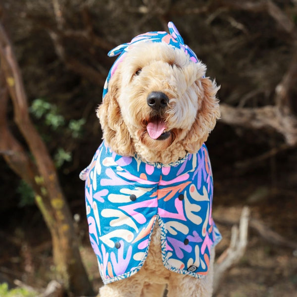 Dog Hooded Towel - SEAGAL