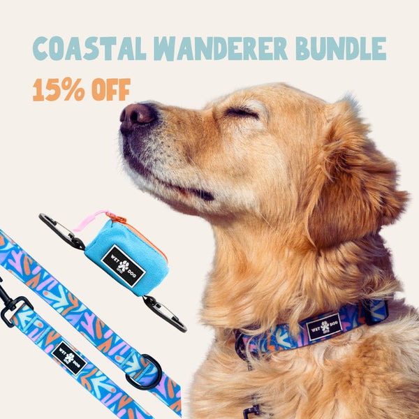 Coastal Wanderer Bundle