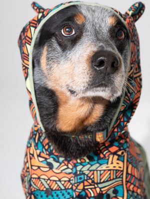 Hooded towel for dogs - Wet Dog towel 