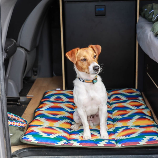 Travel Dog Mat - Wanderlust Print