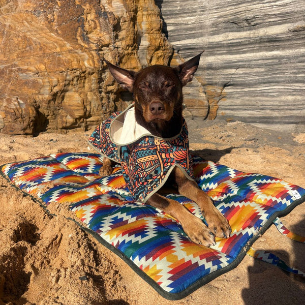 Dog travel mat recycled plastic portable camping hiking water-resistant