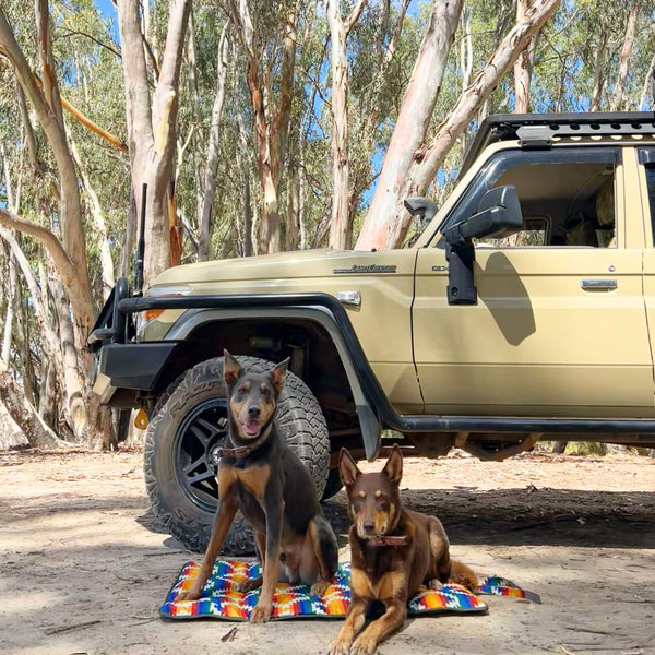 Water-resistant travel dog mat, travel bed, packable travel dog bed, training dog mat , Australia. Outdoor dog bed. Camping Dog Bed. 