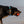 Waterproof collar with stainless steel D ring. No rust - Australian Designed