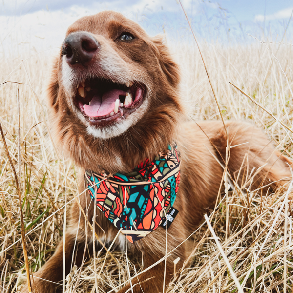 DOG BANDANA/ FORREST