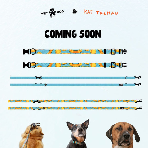 COMING SOON Waterproof Dog Collar I Ripple