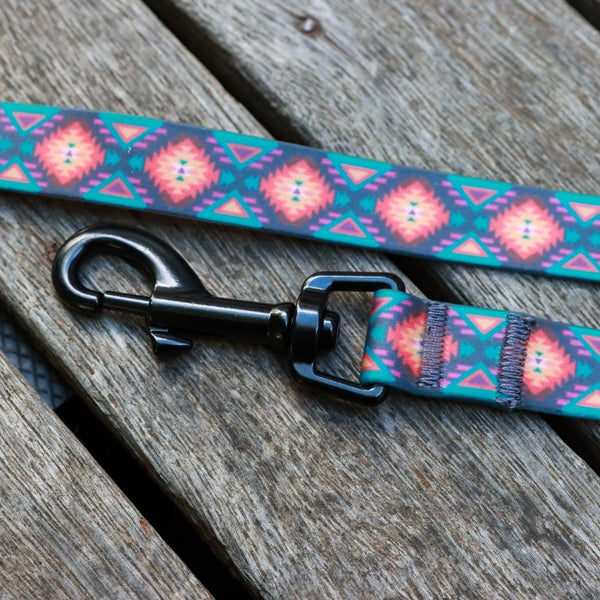 Nomad Collar & Lead Bundle