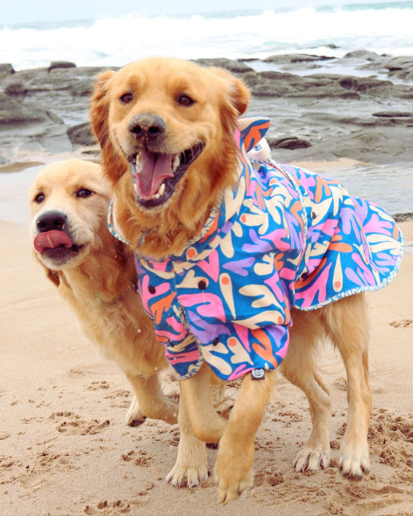 Recycled Dog Hooded Towel, Beach essentials for dogs, Sustainable For dogs