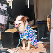 best hooded towel for dogs, lightweight, absorbent, recycled, eco friendly, microfibre. 