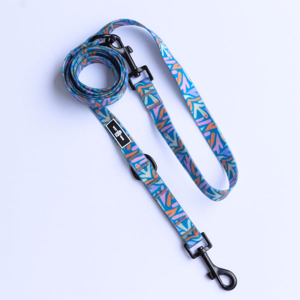 waterproof dog lead. Double clip, functional and adjustable length. Recycled webbing. Eco friendly. Australia Owned small business. 