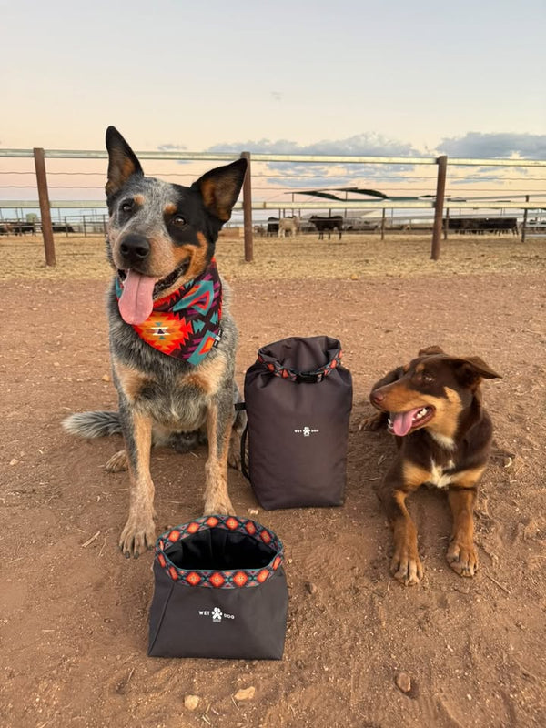 Dog Travel Essentials, Travel dog Bowl, travel dog bag, Dog food bag, Kimble bag. recycled dog bandana. 