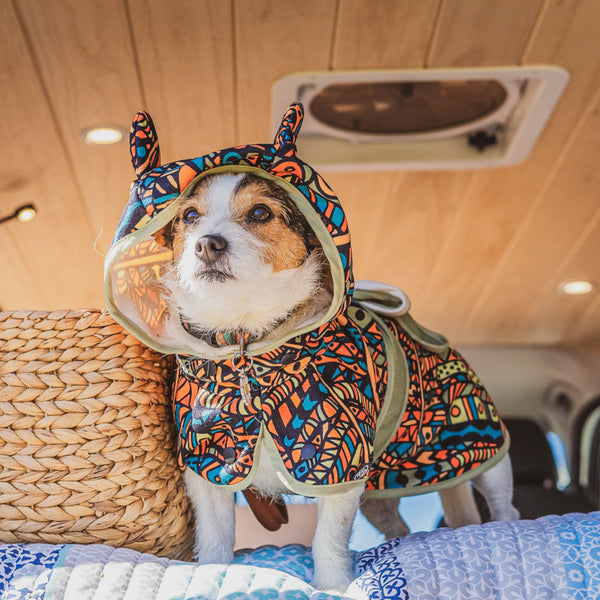 Forrest Towel Bundle For You and Your Dog