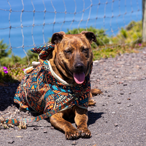 Dog Hooded Towel - Forrest