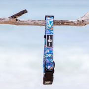 Waterproof and durable dog collar. Stainless steel D ring, recycled webbing. Designed in Australia . Wet Dog and Co.