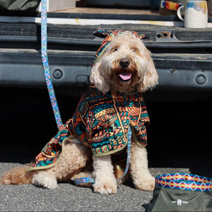 Cute dog towel with ears, matching with the human, recycled towel, lightweight, quick dry. Easy to use.