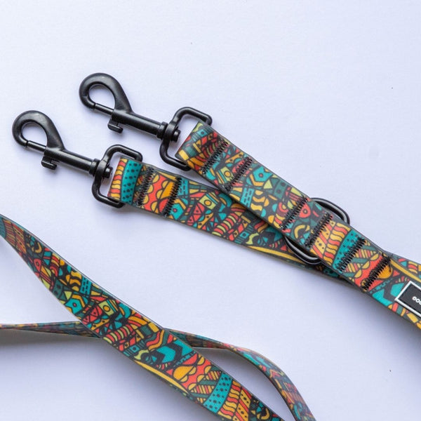 Forrest Collar & Lead Bundle