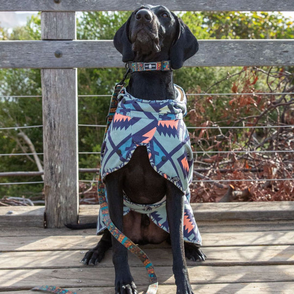 DOG HOODED TOWEL - OTWAY