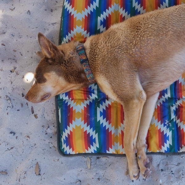 Close-up of Wet Dog and Co Travel Dog Mat showing water-resistant recycled Oxford fabric in Wanderlust print